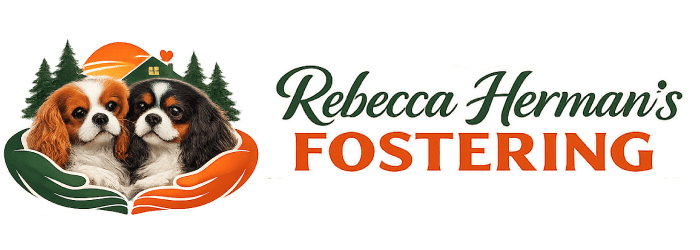 Rebecca Herman's Fostering